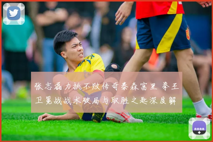 张志磊力挑不败传奇泰森富里 拳王卫冕战战术破局与取胜之匙深度解读